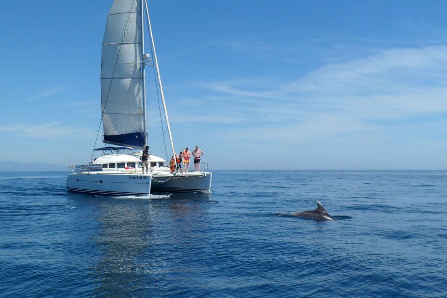 Fishing Private Charter